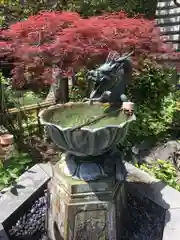 成就院の手水