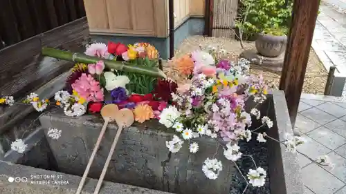 勝林寺の手水舎