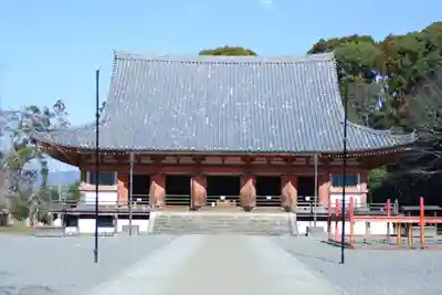 醍醐寺(京都府)