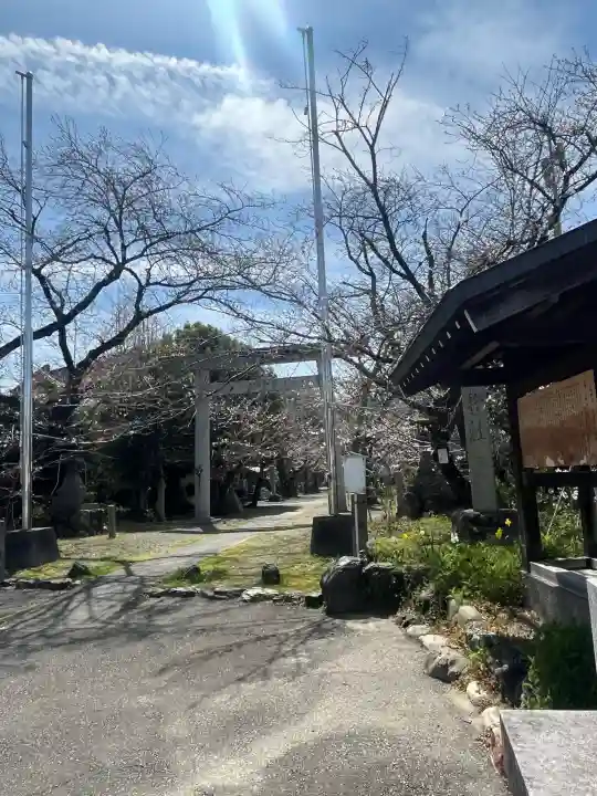 酒見神社の{uncategorized: "未分類", other: "その他", undefined: "問題あり", building: "その他建物", grave: "お墓", sacred_gate: "鳥居", guardian: "狛犬", statue: "像", buddha: "仏像", history: "歴史", nature: "自然", garden: "庭園", animal: "動物", pagoda: "塔", temizu: "手水舎", mountain_gate: "山門・神門", sanctuary: "本殿・本堂", subordinate: "末社・摂社", art: "芸術", scenery: "景色", jizo: "地蔵", ema: "絵馬", goshuin: "御朱印", omikuji: "おみくじ", items: "授与品その他", amulet: "お守り", goshuincho: "御朱印帳", eats: "食事", festival: "お祭り", votive_dance: "神楽", shichigosan: "七五三参", wedding: "結婚式", experience: "体験その他", initially: "初詣", around: "周辺", anti_infection: "感染症対策"}
