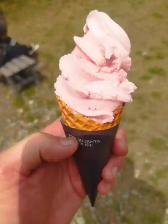 宝聚院(京都府)