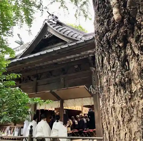 田無神社の本殿・本堂