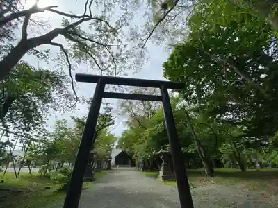 錦山天満宮の鳥居