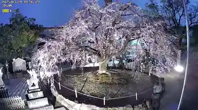 観音神社(広島県)