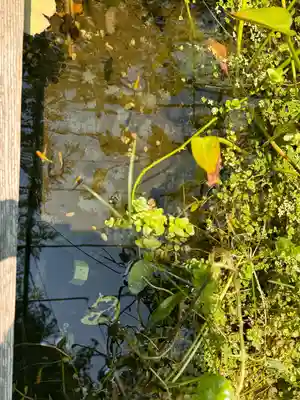 おふさ観音（観音寺）(奈良県)