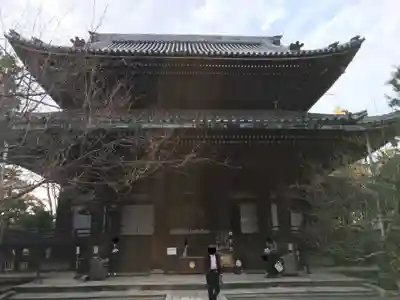 知恩院の本殿・本堂