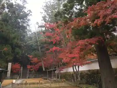 一乗寺のその他建物