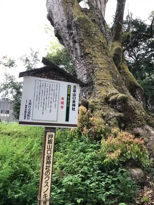 忍坂山口坐神社(奈良県)