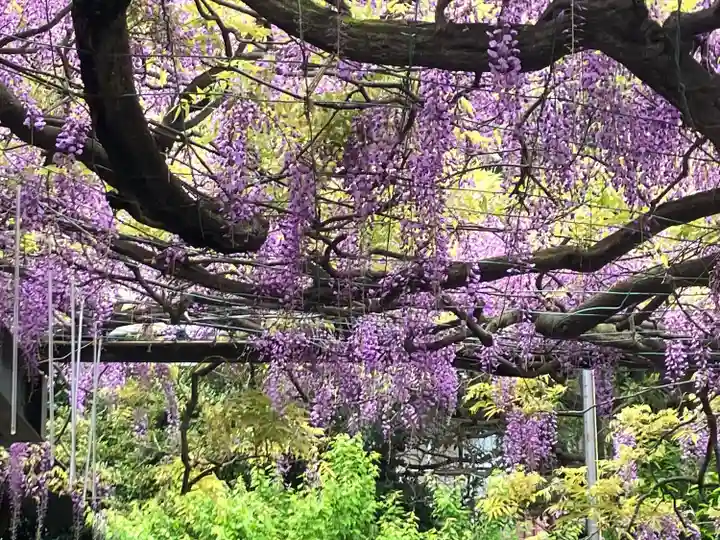 國領神社(東京都)