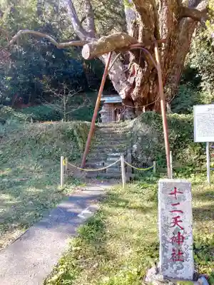 十二天神社(千葉県)