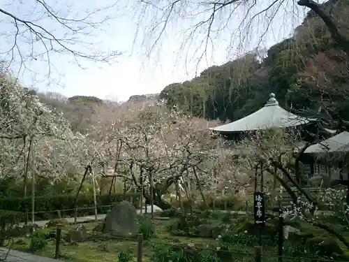 瑞泉寺の庭園