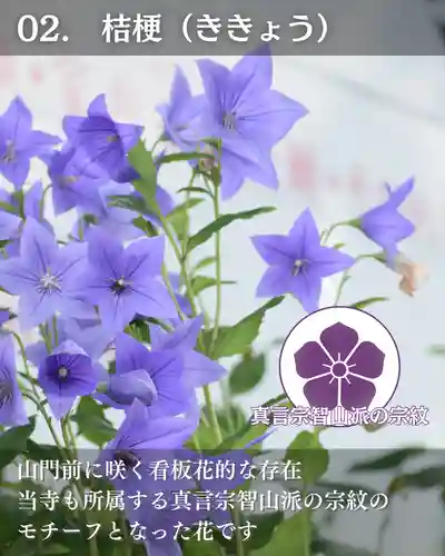 宝光寺(北海道)