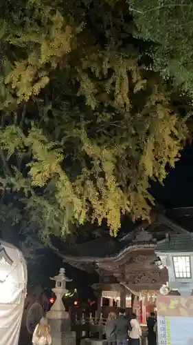 田無神社(東京都)