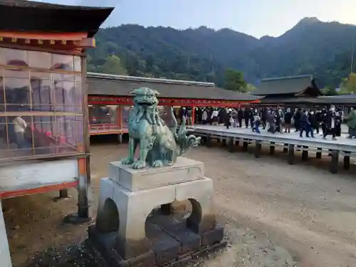 厳島神社の狛犬