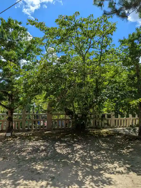 御建神社(広島県)