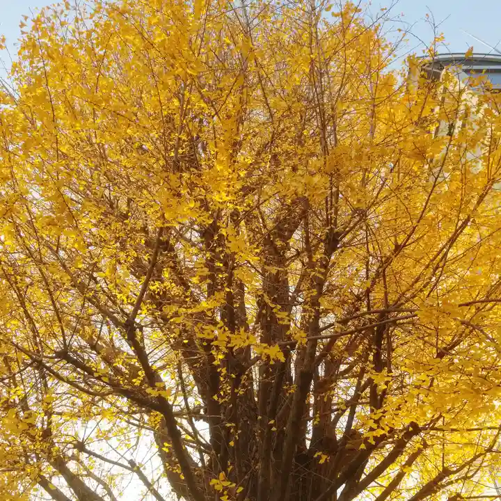 稼穡稲荷社の自然