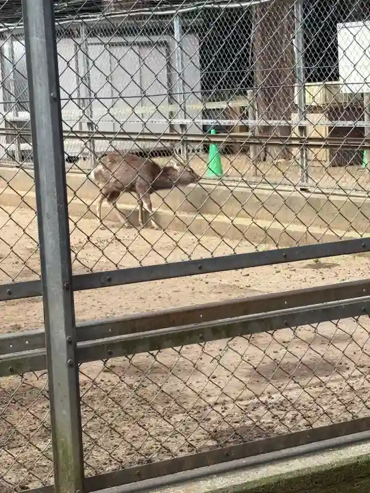 奥宮(鹿島神宮摂社)(茨城県)