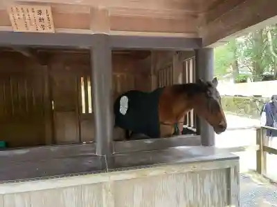 伊勢神宮内宮（皇大神宮）(三重県)