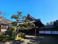 中宮寺(奈良県)