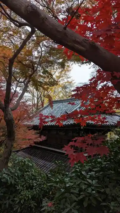 観音寺(山崎聖天)(京都府)