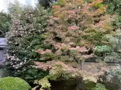 雲龍院(京都府)