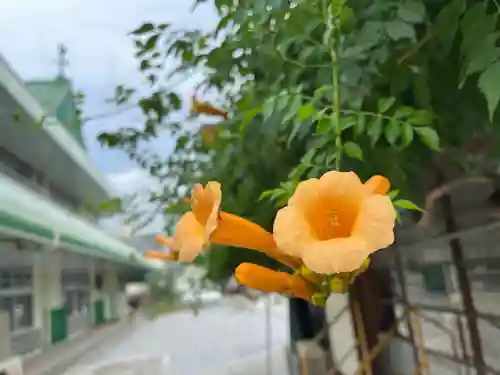 秩父札所十三番 慈眼寺の自然