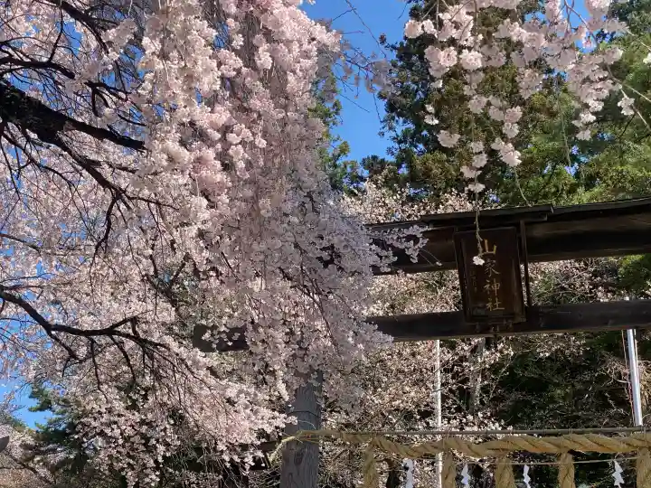 山家神社の{uncategorized: "未分類", other: "その他", undefined: "問題あり", building: "その他建物", grave: "お墓", sacred_gate: "鳥居", guardian: "狛犬", statue: "像", buddha: "仏像", history: "歴史", nature: "自然", garden: "庭園", animal: "動物", pagoda: "塔", temizu: "手水舎", mountain_gate: "山門・神門", sanctuary: "本殿・本堂", subordinate: "末社・摂社", art: "芸術", scenery: "景色", jizo: "地蔵", ema: "絵馬", goshuin: "御朱印", omikuji: "おみくじ", items: "授与品その他", amulet: "お守り", goshuincho: "御朱印帳", eats: "食事", festival: "お祭り", votive_dance: "神楽", shichigosan: "七五三参", wedding: "結婚式", experience: "体験その他", initially: "初詣", around: "周辺", anti_infection: "感染症対策"}