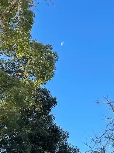 成田山大阪別院　明王院の景色