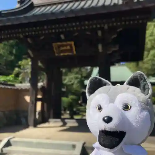 宗隆寺(神奈川県)