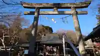 賀茂別雷神社の鳥居