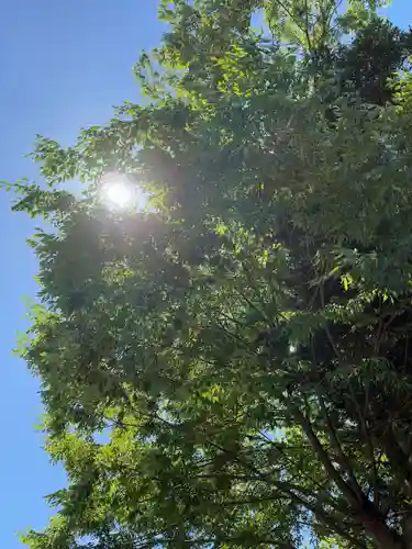 高龍神社(新潟県)
