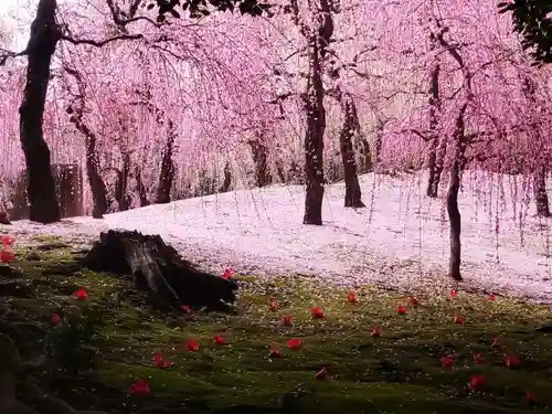 城南宮(京都府)