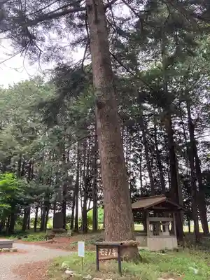 鷲宮神社の自然