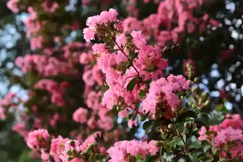 三津厳島神社(愛媛県)
