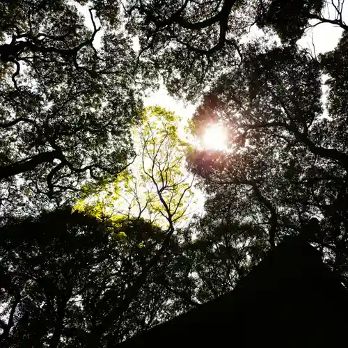 沼尾神社の自然