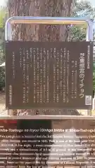 芝東照宮の建物その他