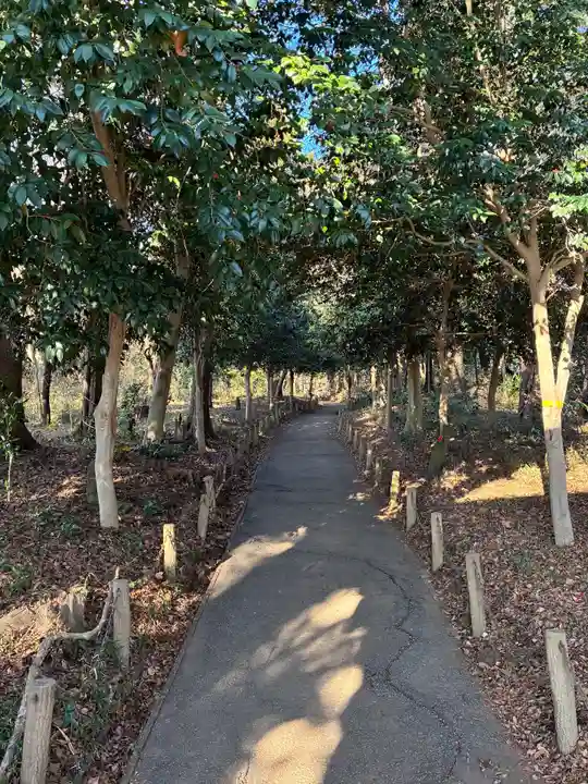 金蔵寺(千葉県)