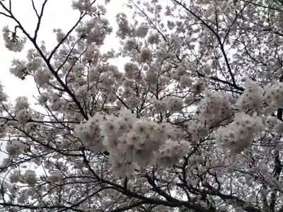 江守神社(福井県)