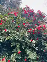 守りの神 藤基神社(新潟県)