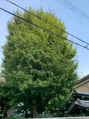 常光寺(大阪府)