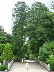 尾張冨士大宮浅間神社(愛知県)