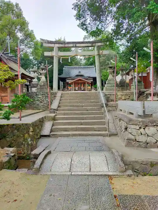棚倉孫神社(京都府)