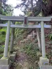 三峯神社の鳥居