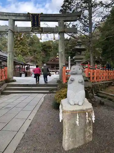 出雲大神宮の鳥居