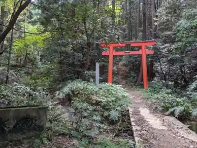 大縣神社(愛知県)