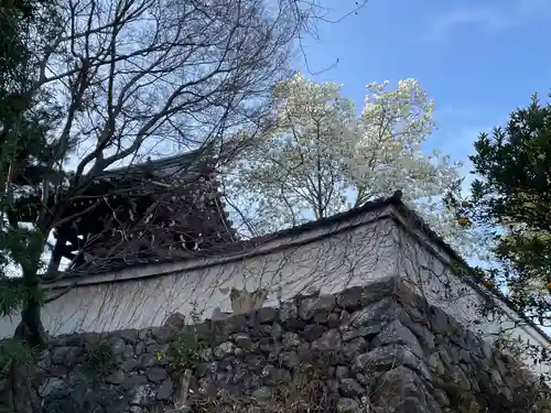 招善寺(京都府)