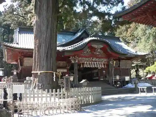 北口本宮冨士浅間神社の建物その他