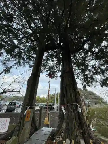 武雄神社(佐賀県)