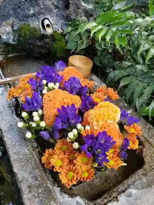 本郷氷川神社(東京都)