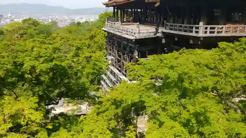 清水寺の本殿・本堂